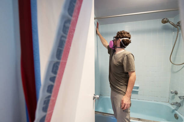 Las Lomas, CA Mold Removal Company