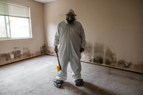 Mold Documentation for Insurance Claims in Las Lomas, CA